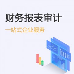 財(cái)務(wù)報(bào)告審計(jì)