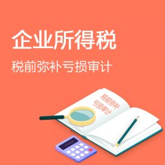 企業(yè)所得稅稅前彌補(bǔ)虧損審計(jì)