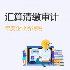年度企業(yè)所得稅匯算清繳審計(jì)
