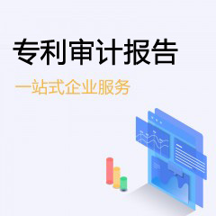 專利審計(jì)報(bào)告
